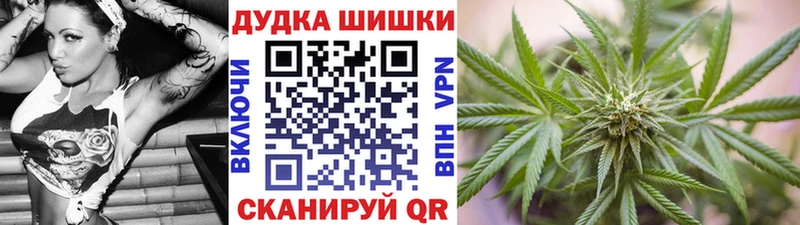 Конопля планчик Зима